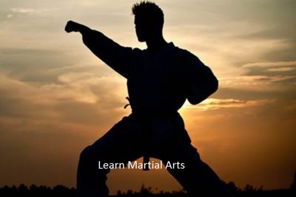 Yet to Learn Martial Arts? Know What All You are Missing