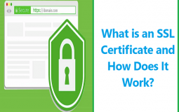 What is an SSL Certificate and How Does It Work?